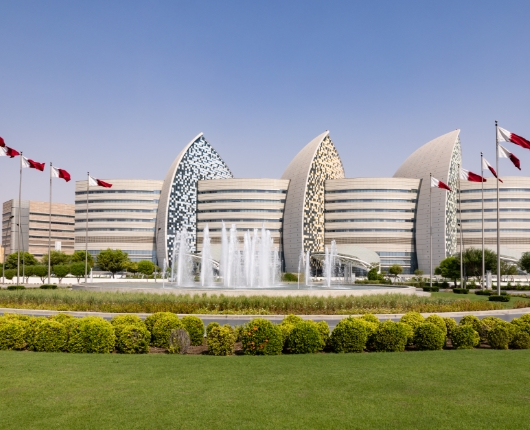 Sidra Medicine Externship Program