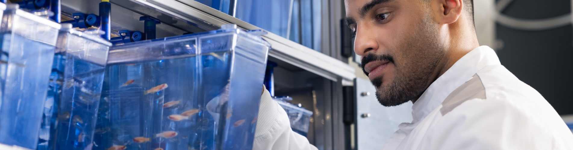 Undergraduate Medical Education