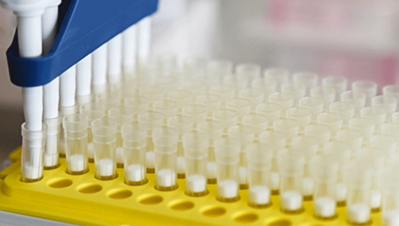 Genetic-and-Genomic-Medicine