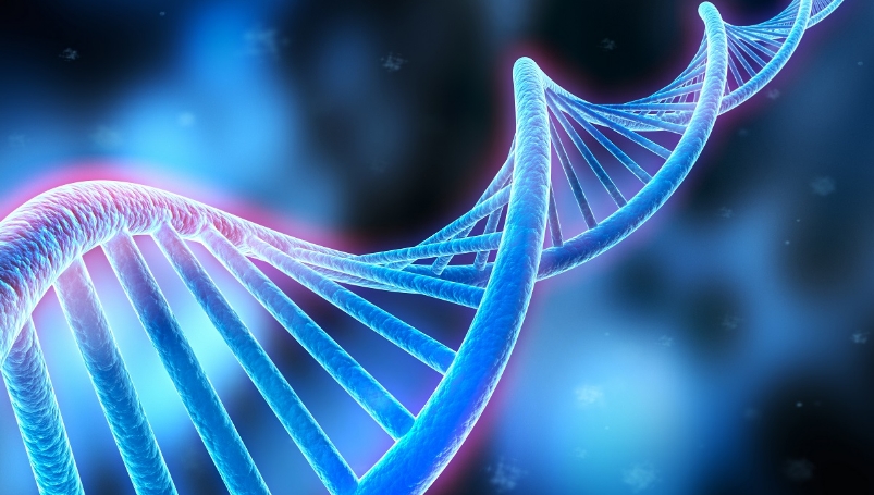Genome