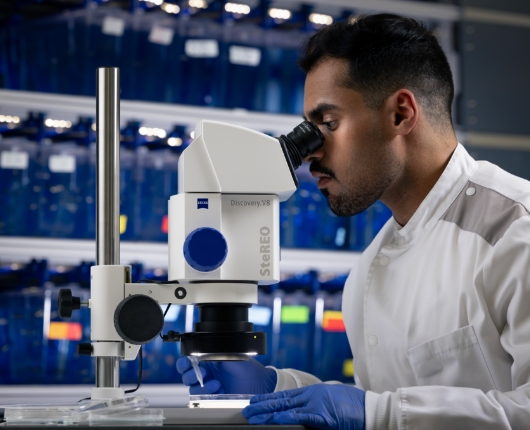 Clinical Research