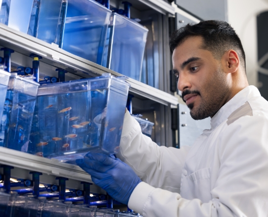Undergraduate Medical Education