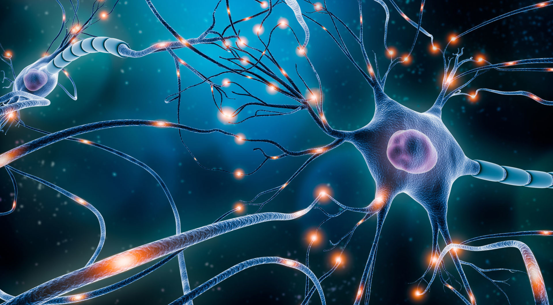 Sidra Medicine to host Pediatric Neuroscience Conference 2023